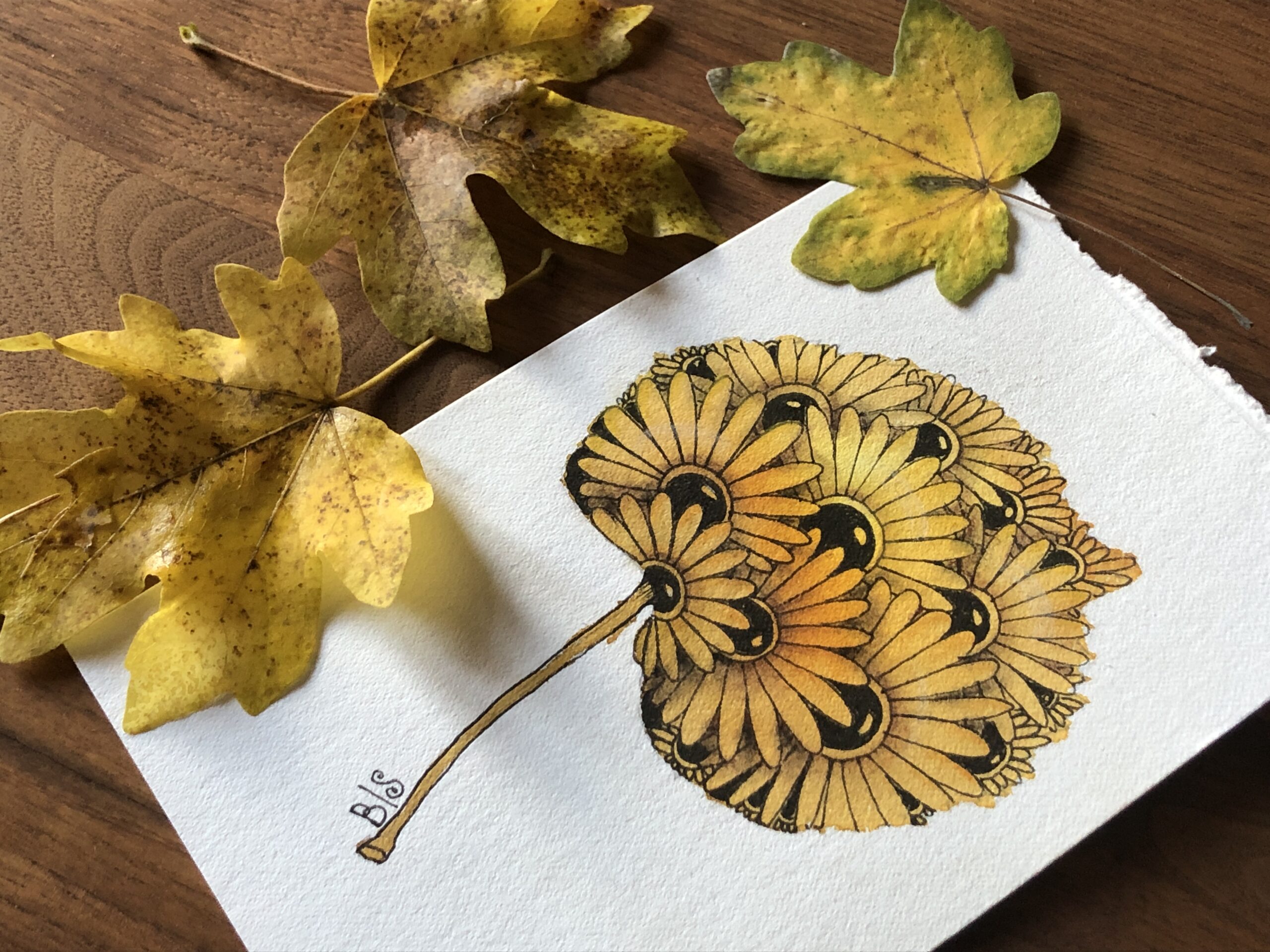 Zentangle lernen in winterthur