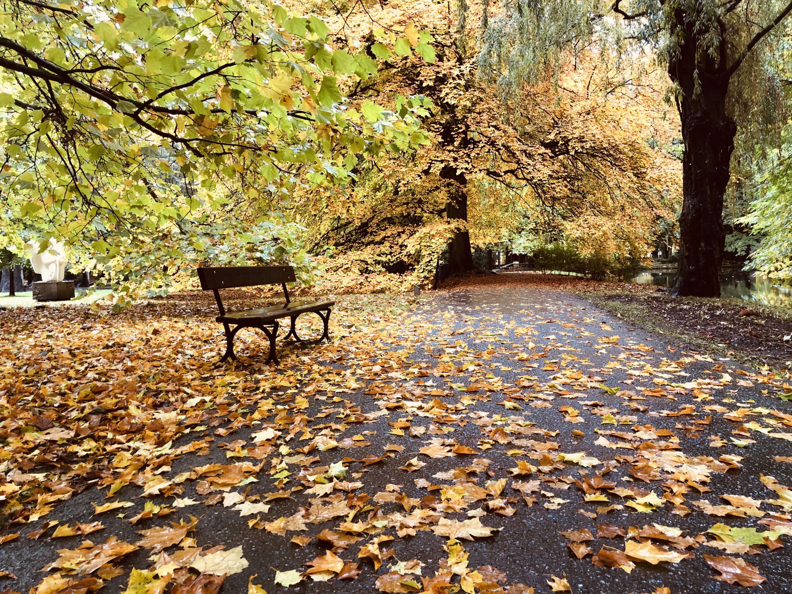 Herbst in Park Oliwski, Danzig, Polen